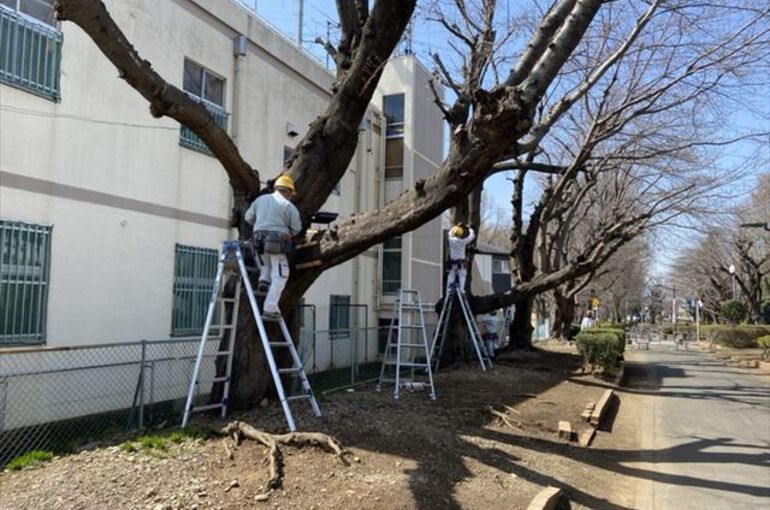 渡辺電業　工事