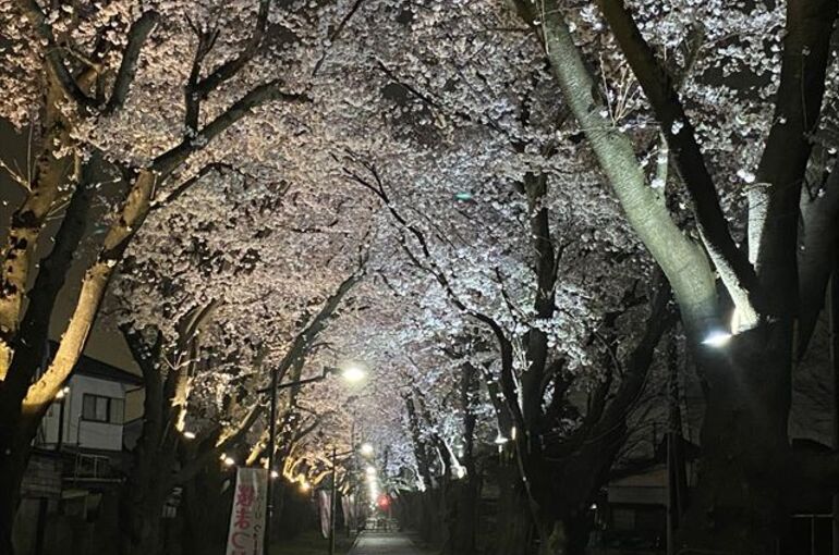 渡辺電業　工事