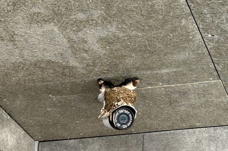 渡辺電業株式会社