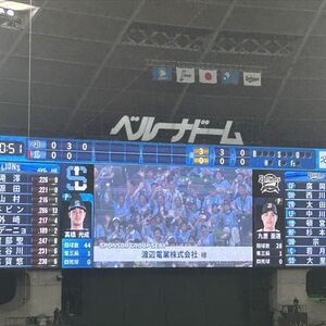 渡辺電業　野球観戦